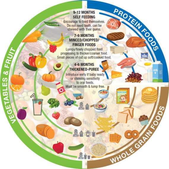 Introduction of solid foods - Sunnybrook Neonatal Follow-Up Clinic